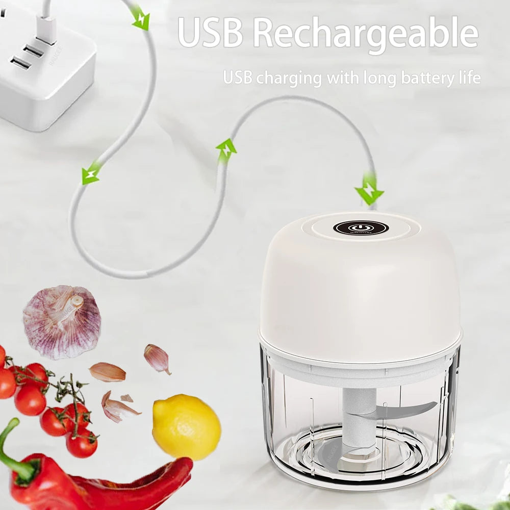 Mini Electric Chopper Food Processor Garlic Onion Vegetable Meat Fruit Grinder Chopper Rechargeable 300ml Small Crusher Blender