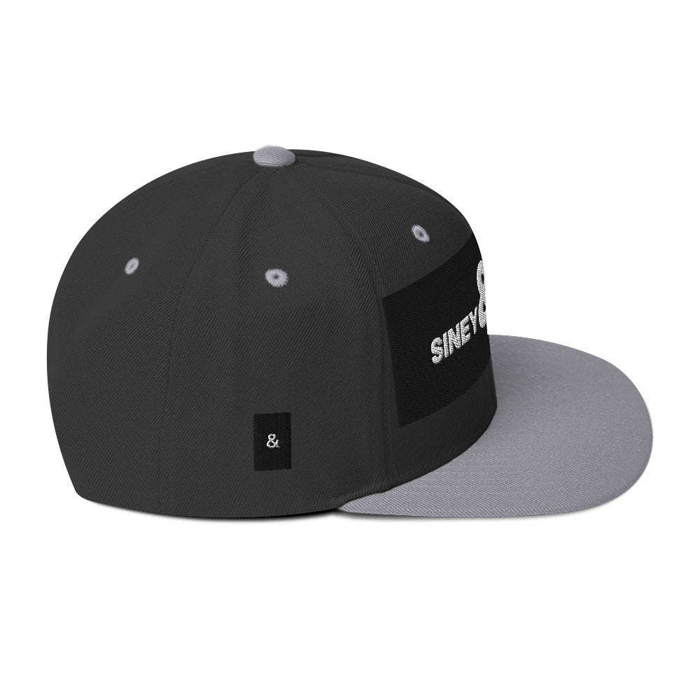 Gorras unisex, gorras planas, gorras sineypapey