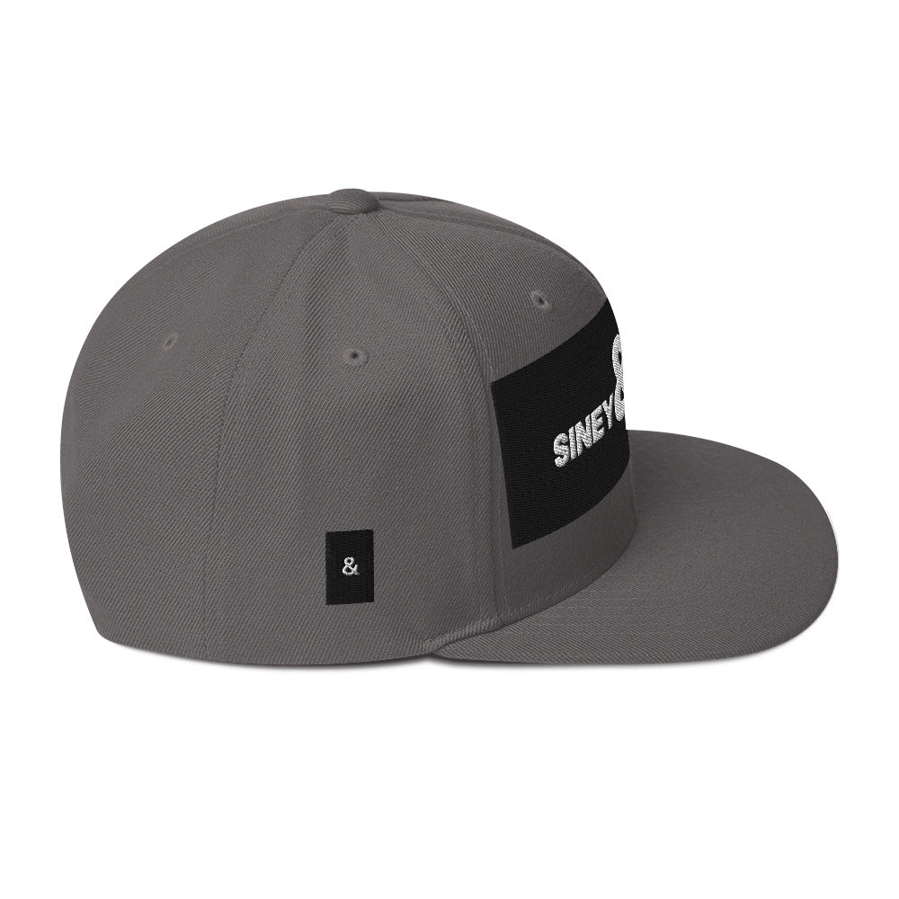 Gorras unisex, gorras planas, gorras sineypapey