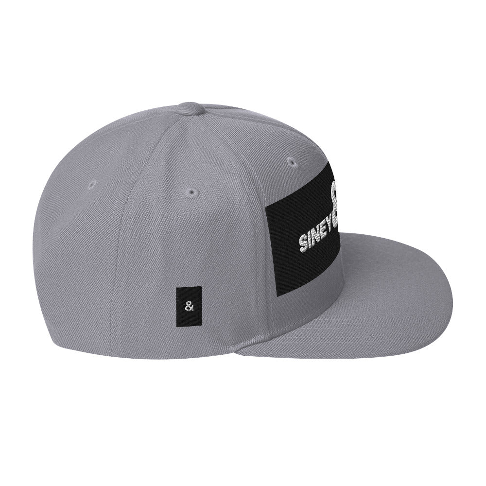 Gorras unisex, gorras planas, gorras sineypapey